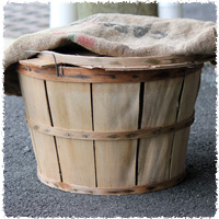 Bushel Basket for Crabs