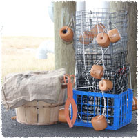 Crab Supplies